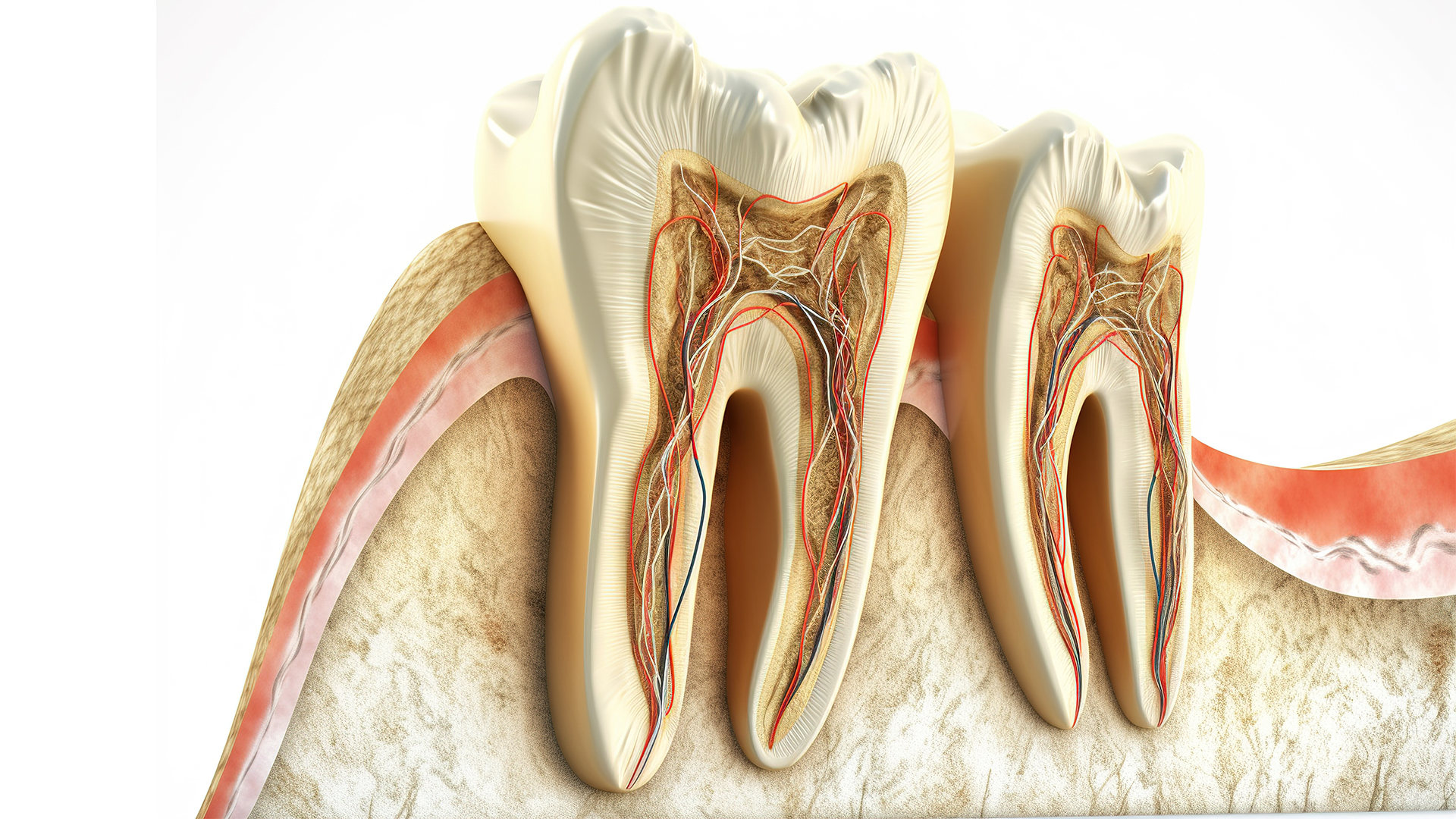 Root Canal Treatments